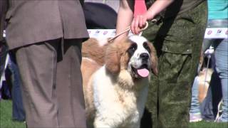 Московская сторожевая, САС (1) 09.05.2014 Московская сторожевая, САС (1) 09.05.2014