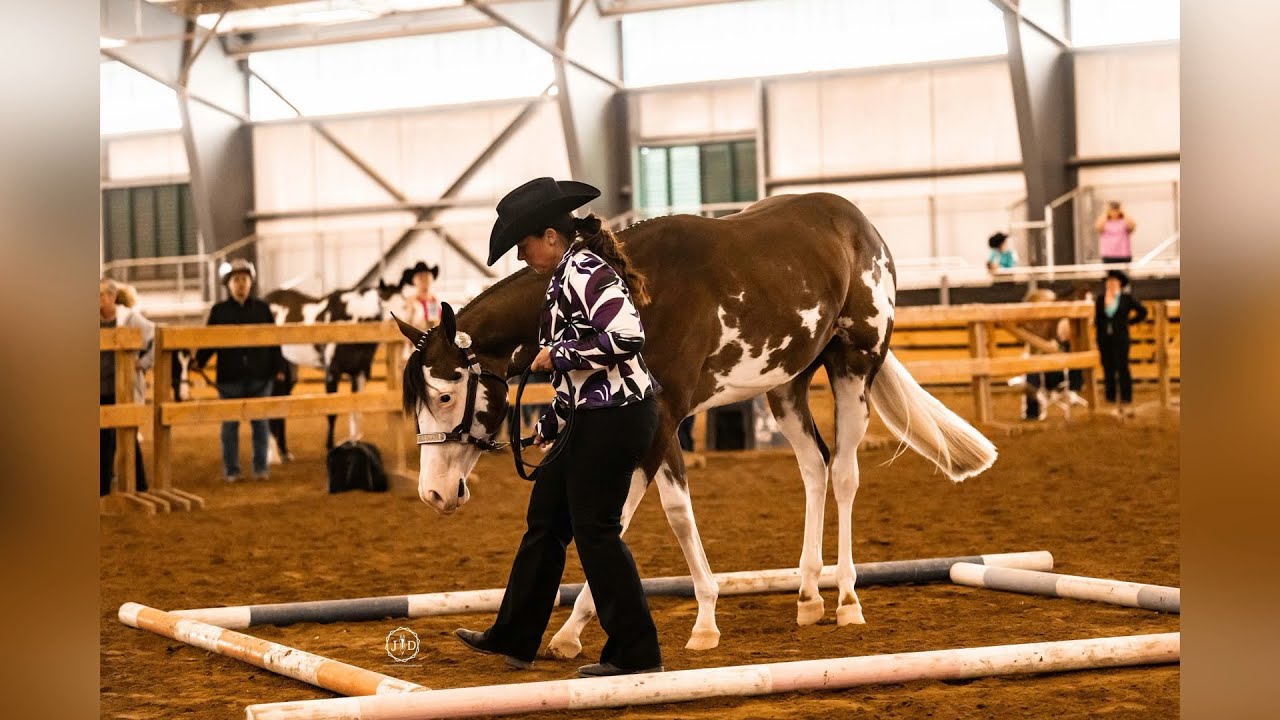 AQHA APHA NSBA “Stetson and Steel” show clips