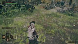 Elden Ring - Invisible enemy ( Glitch )