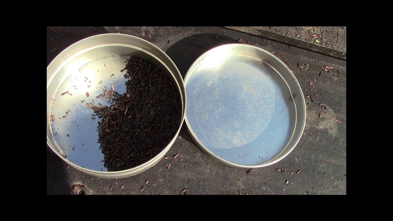 DIY Seed Cleaners for Small Batches of Seed
