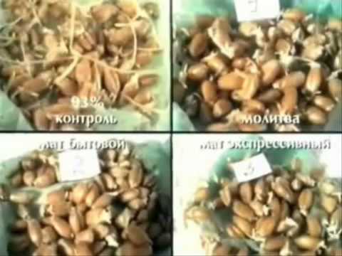 Влияние мата на воду