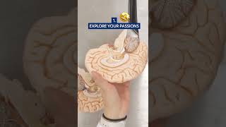 3 Benefits Of Taking The Case Western Reserve Pre-College Program