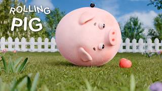 Liuyu Animation | The Roundest Pig