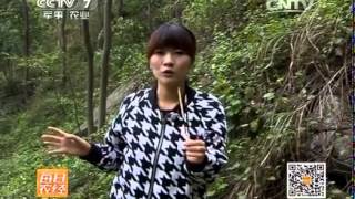 20140423 每日农经  带刺的诱惑（3）豪猪仗箭闯销路