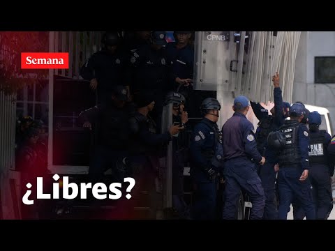 YouTube video pRSgOgeGL3A thumbnail