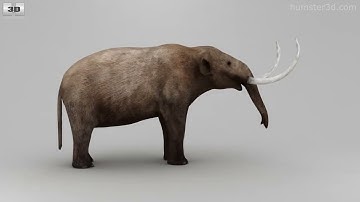 Mastodon Low Poly 3D model by 3DModels.org