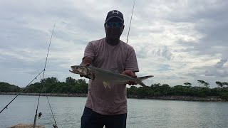 Fishing at Tugela Mouth and Richard's Bay