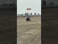 Bike style 🏍️ new look bike 😱😱💥  | Crazy Stunts &amp; Street Vibes 💥#bike #bikestyle #new #shortsvideo