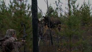 World Record Moose hunting