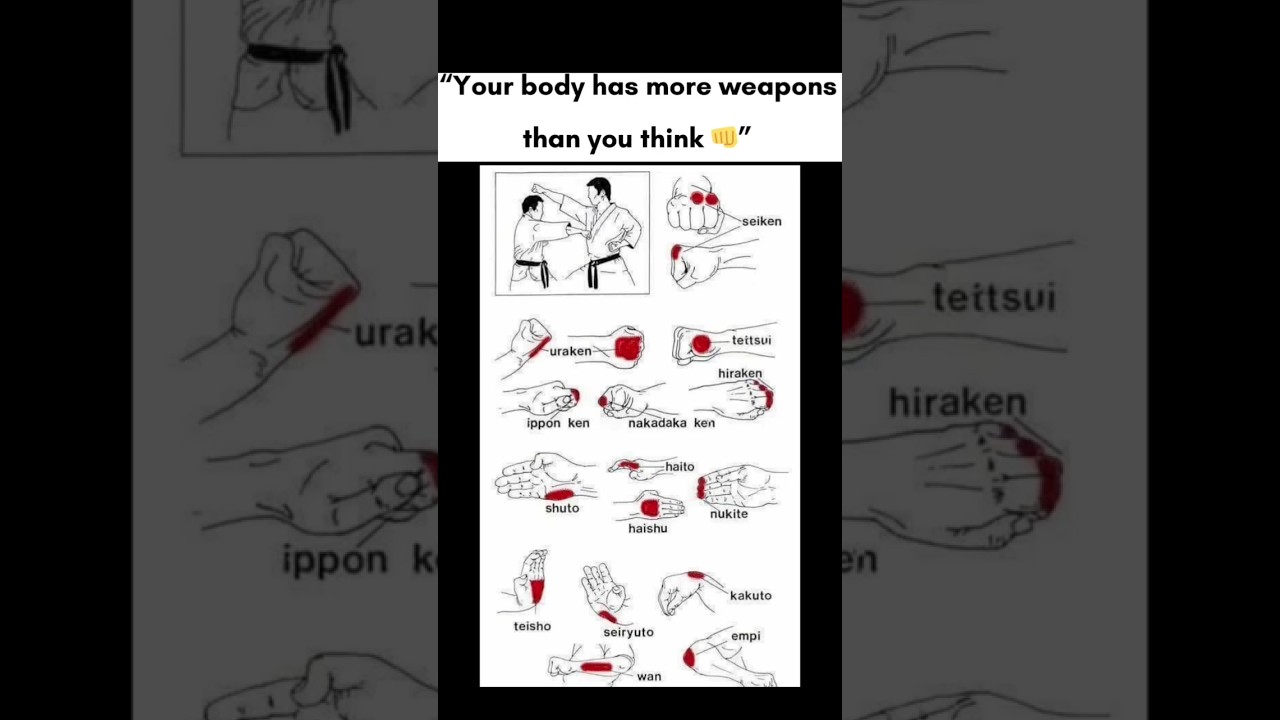 Regardez 👉 Your Body Has Hidden Weapons 💀 You Never Knew About #shorts #memes #motivation #ytshorts #fashion sur YouTube Regardez 👉 Your Body Has Hidden Weapons 💀 You Never Knew About #shorts #memes #motivation #ytshorts #fashion sur YouTube
