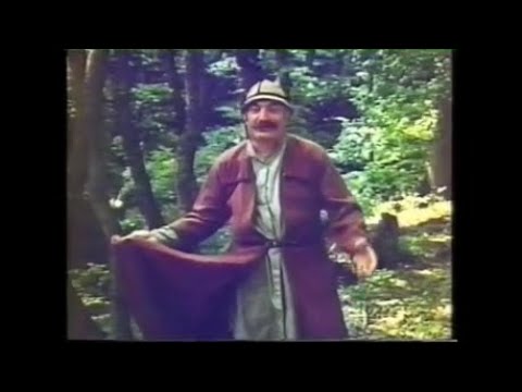 \"ყველაზე სწრაფები მსოფლიოში\" - მოხერხებული მარკოზა