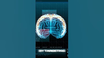 This Machine Can Erase Memories