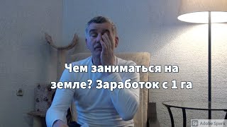 Чем заниматься на земле? Заработок с 1 га