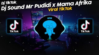 DJ SOUND MR PUDIDI x MAMA AFRIKA VIRAL TIK TOK TERBARU 2022!!