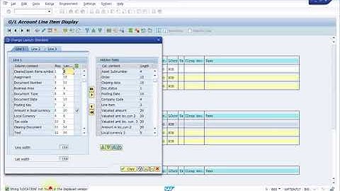 SAP FI Settings   How to add a user  customer  fields to transaction codes  FBL1N FBL5N FBL3N