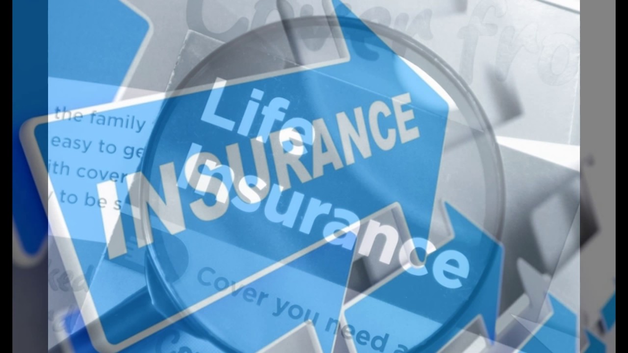 auto owners insurance YouTube