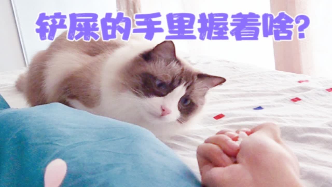 我这是被拿捏了么? - YouTube