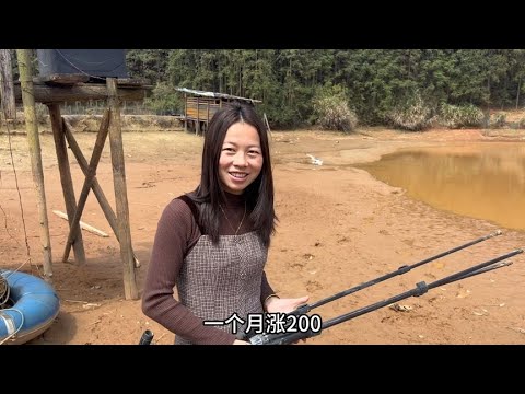 小伙深山养土鸡，今天女助理也来了，看这表现准备给她涨点工资