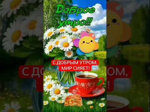 Доброе летнее утро!