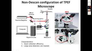 Lecture 2. Leonel Malacrida Advanced fluorescence instrumentation and microscopy