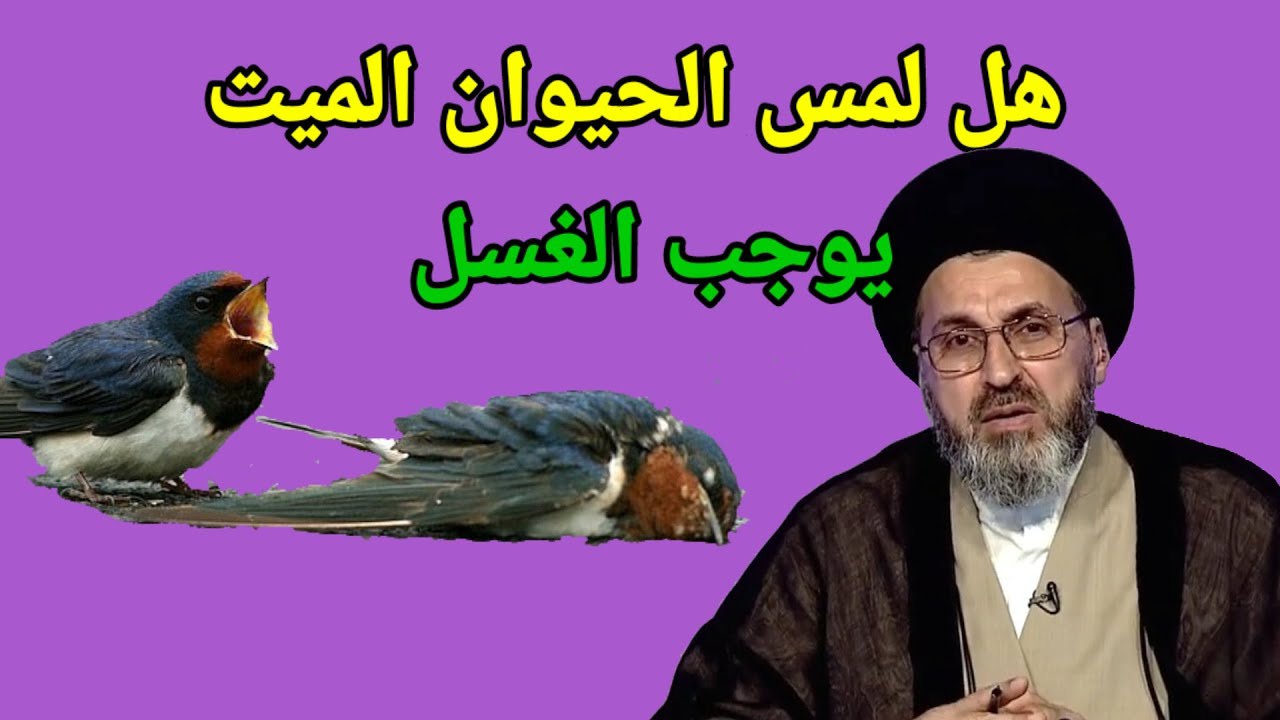⁣هل لمس الحيوان الميت يوجب الغسل الميت / سماحة السيد رشيد الحسيني