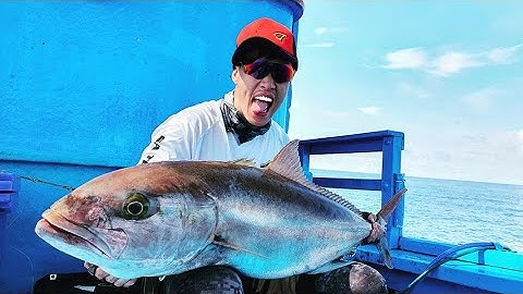 Jigging deep sea amberjack ( câu cá cam nước sâu - Phú Yên )
