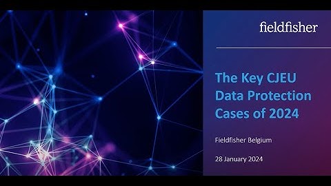The key CJEU data protection cases of 2024