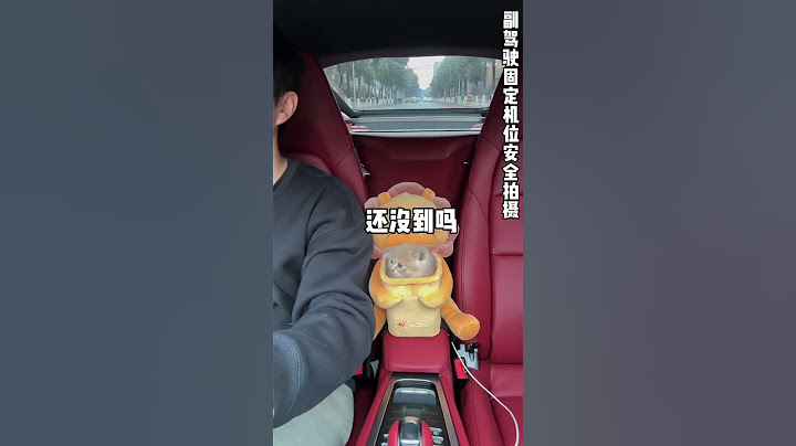 【獨生子的日常】过年回家啦 让我看看你们的猫#小奶猫 #铲屎官日记