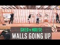 Converting a Shed into a House  |  Raising the Walls