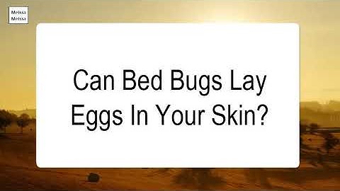 What stage do bed bugs lay eggs
