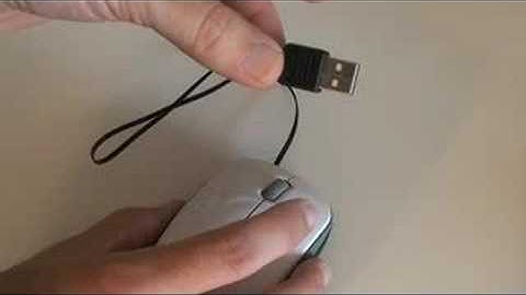 Macally Turtle Mouse Review