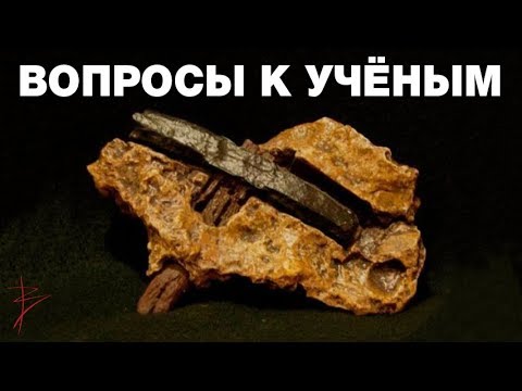 О чём не принято говорить в научном сообществе? Почему наука искажает действительность? В.Сундаков