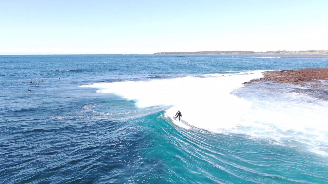 surf Cowries YouTube