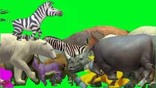 Wild forest crazy green screen animal Crossover video! Long side game with elephant cow gorilla hen! screenshot 2