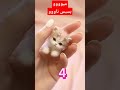 بسبس ناوووو بسبس ناوووو