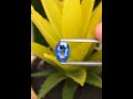 #beautiful #blue #sapphire #gemstone #gems #emerald #tourmaline #ruby #quartz #sale #diamond #topaz