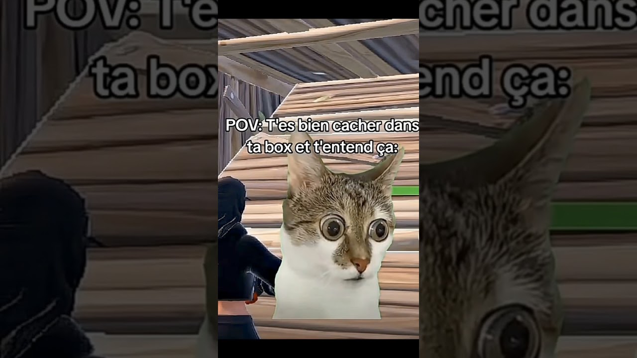 Pov tu est bien caché et t'entend sa 