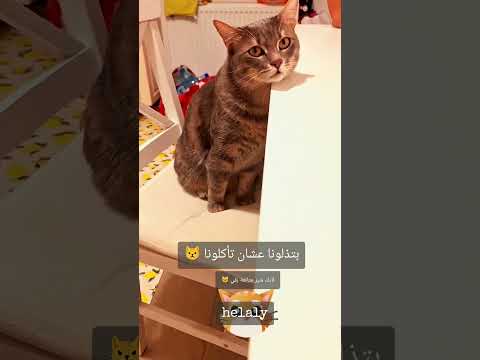 بتذلونا عشان تأكلونا