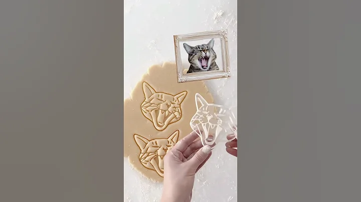 Video 8040481: persiancat ragdollcat, cat