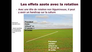 Tournesol : Eléments clés de la conduite de culture – Partie 1