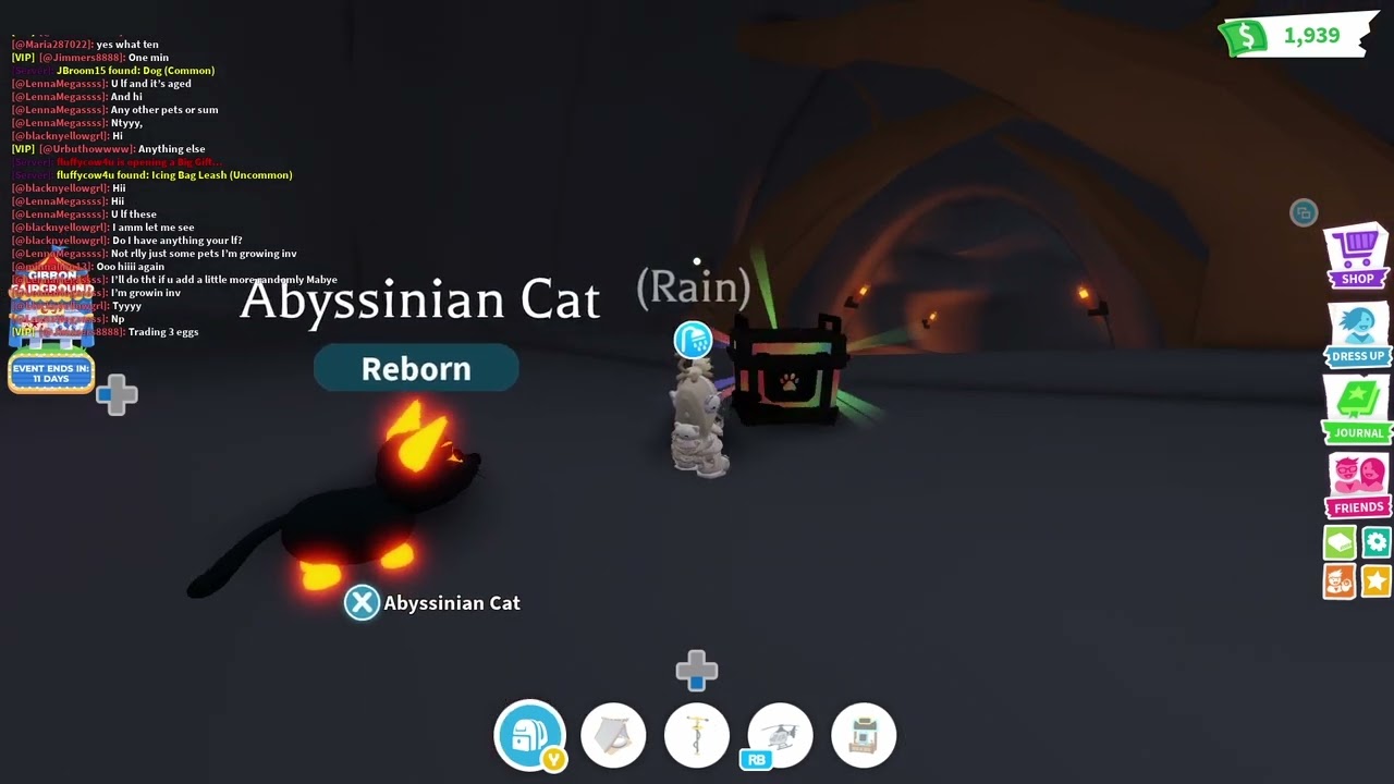 Opening one of those RBG reward boxes! (Adopt Me!)(ROBLOX)