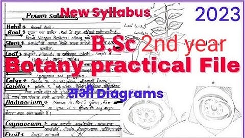 B.Sc Botany practical file 2023 all universities सभी चित्रों के साथ