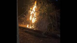 Christmas night bonfire!! 12/25/21 by Fifty-something and FABULOUS 10 views 2 years ago 9 minutes, 46 seconds