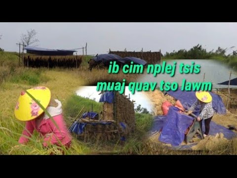 Video: Yuav Npaj Koj Tus Menyuam Li Cas Hauv Qib Xyaum Kawm