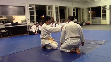 Aikido Test Hawaii