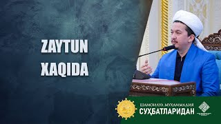 видео: ZAYTUN XAQIDA @Шайх Муҳаммад Содиқ Муҳаммад Юсуф мажмуаси картинка: ZAYTUN XAQIDA @Шайх Муҳаммад Содиқ Муҳаммад Юсуф мажмуаси