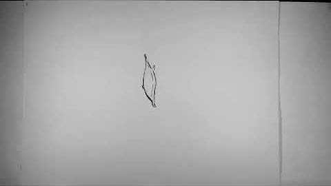 Flour Sack Drop Animation Test