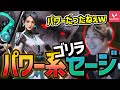 気付いたら一人だけCSGOやってたAIMゴリラ w/Stylishnoob,SHAKA,Clutch,obo【VALORANTカスタム】