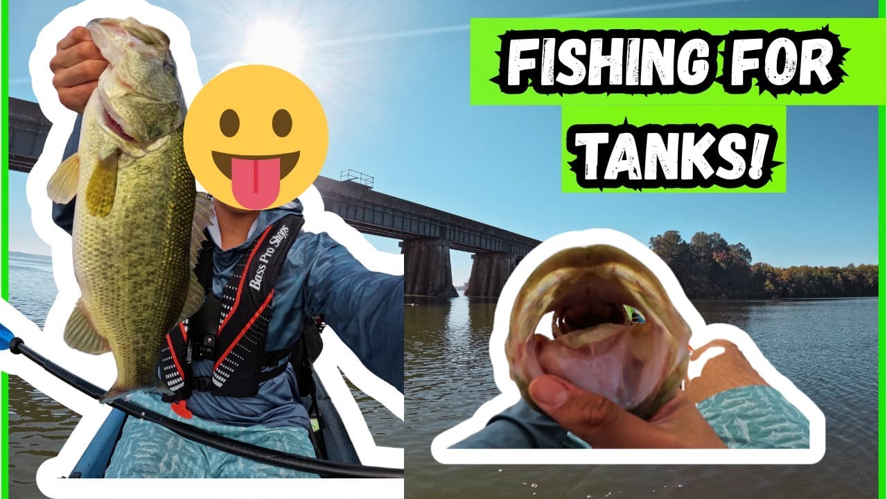HOW TO CATCH BIG BASS ON CHATTERBAITS! (GUARANTEED) #bassfishing #potomacriver #berkleyfishing