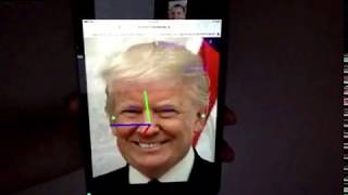 Head pose estimation demo